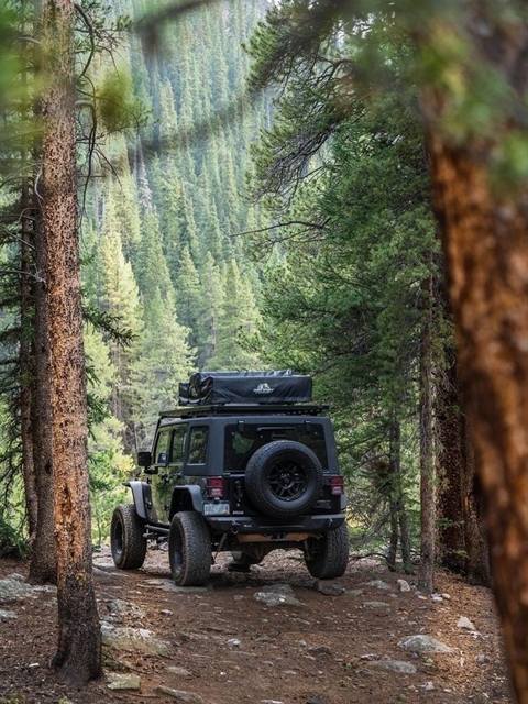 Jeep con carpa de techo en una huella de piedras dentro del bosque